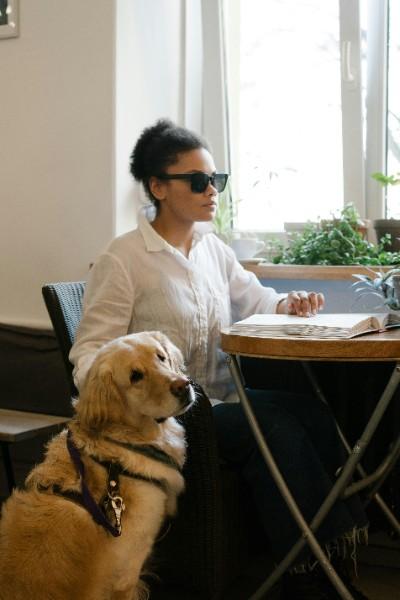 Le chien : animal soignant, animal médiateur, animal thérapeute 